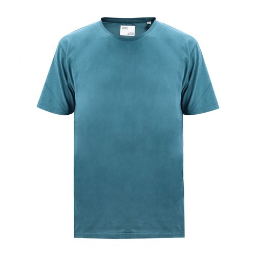 Colorful Standard, Classic Organic t-shirt Niebieski, male, 335.61PLN