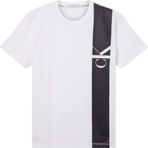 Calvin Klein, Short Sleeve T-shirt Biały, male, 200.00PLN