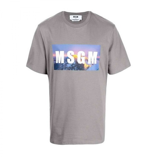 Msgm, T-shirt Szary, male, 496.00PLN