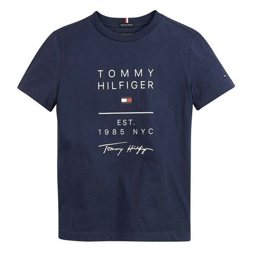 Tommy Hilfiger, Msw Graphic T-shirt Niebieski, male, 201.00PLN