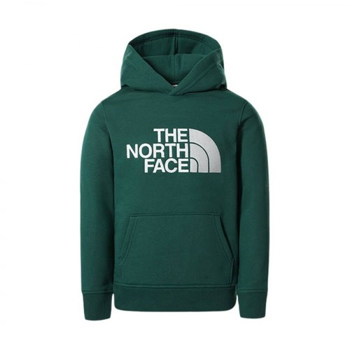 The North Face, Bluza Youth Drew Peak Nf0A33H4N3P Zielony, male, 228.85PLN