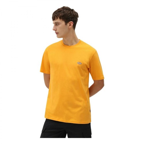 Dickies, Mapleton T-Shirt Pomarańczowy, male, 201.00PLN