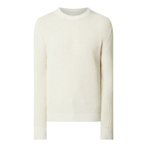 Sweter z czystej bawełny 279.99PLN
