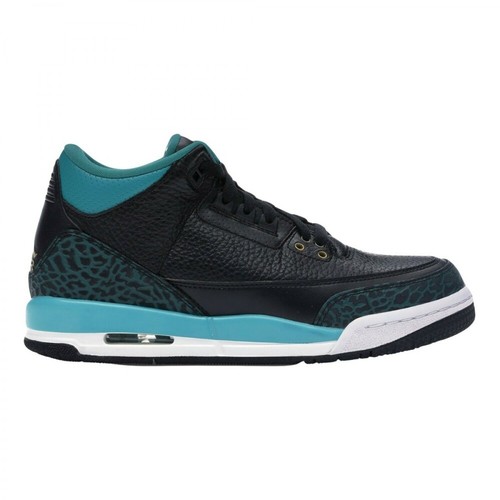 Nike, Air Jordan 3 Retro GP Sneakers Czarny, female, 1232.00PLN