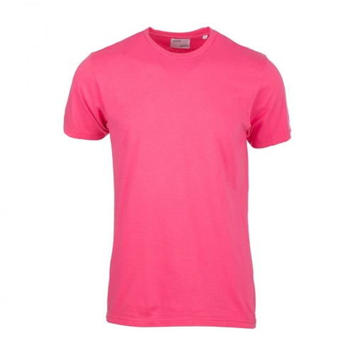 Colorful Standard, T-shirt Różowy, male, 335.61PLN